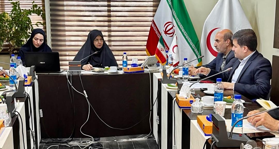 برگزاری دومین جلسه کارگروه تخصصی مطالعات بنیادین مدیریت بحران